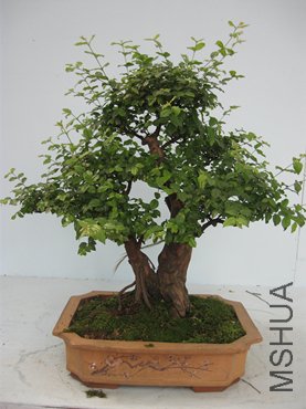 123 084_����.jpg