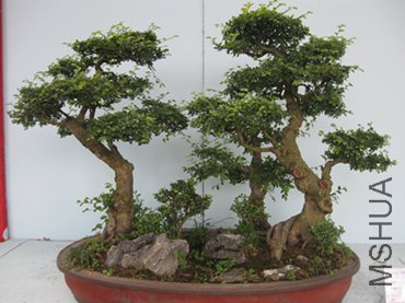 123 086_����_����.jpg