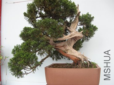 123 088_����.jpg