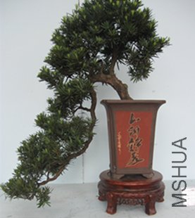 123 093_����.jpg