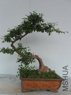 123 098_����.jpg