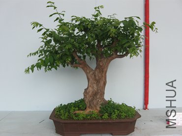 123 102_����.jpg