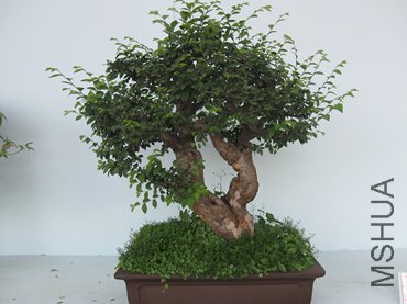 123 103_����.jpg