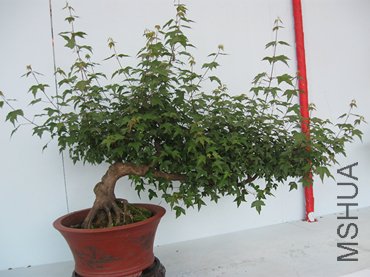 123 106_����.jpg