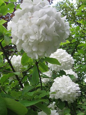 123 109_����_����.jpg