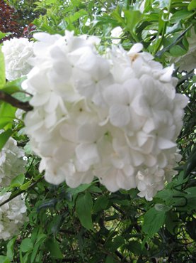 123 110_����8.jpg