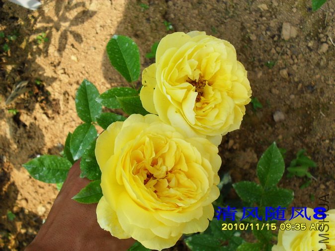 ��������³˹�� (9).jpg