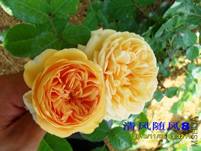 ̫����������� (15).jpg