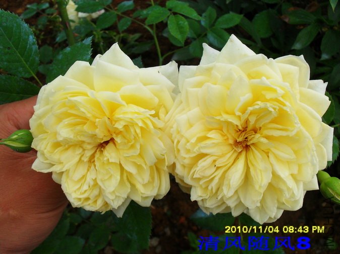 ʥ������ (1).jpg