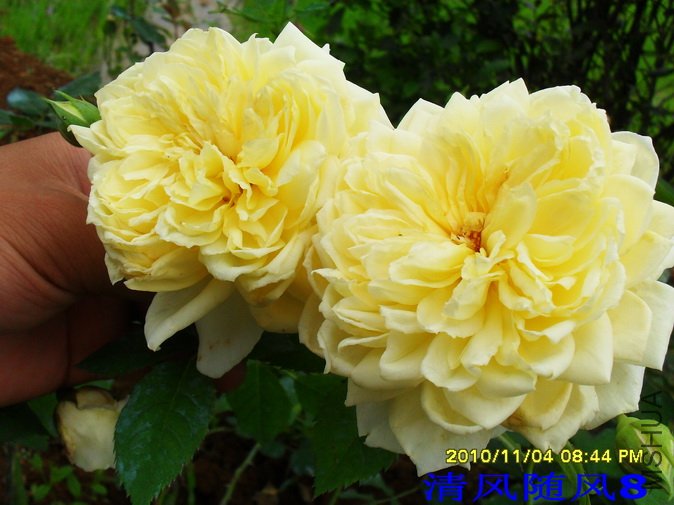 ʥ������ (2).jpg