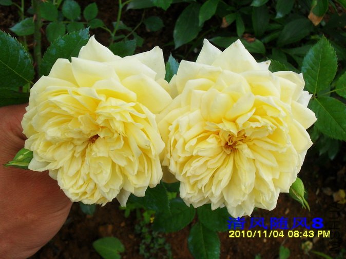 ʥ������ (7).jpg