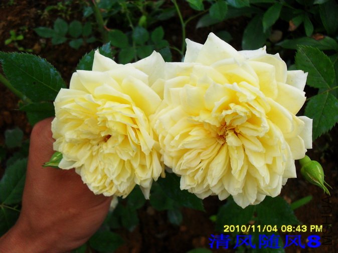 ʥ������ (8).jpg