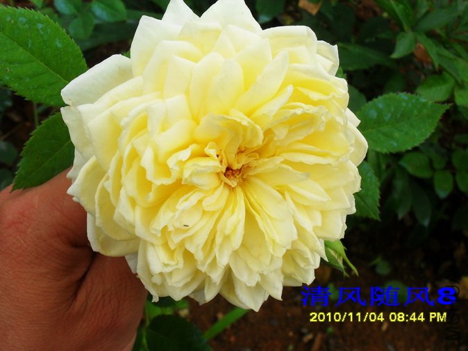 ʥ������ (4).jpg