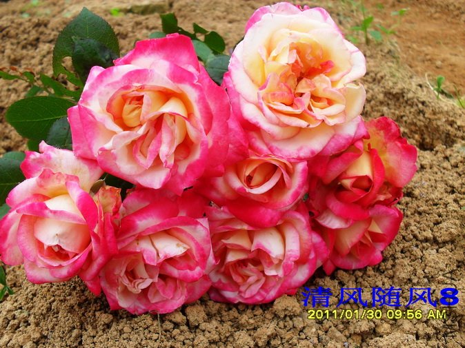 ���� (1).jpg