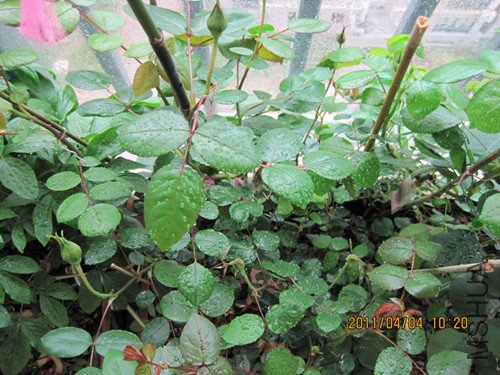 ��Ƭ 051_����.jpg