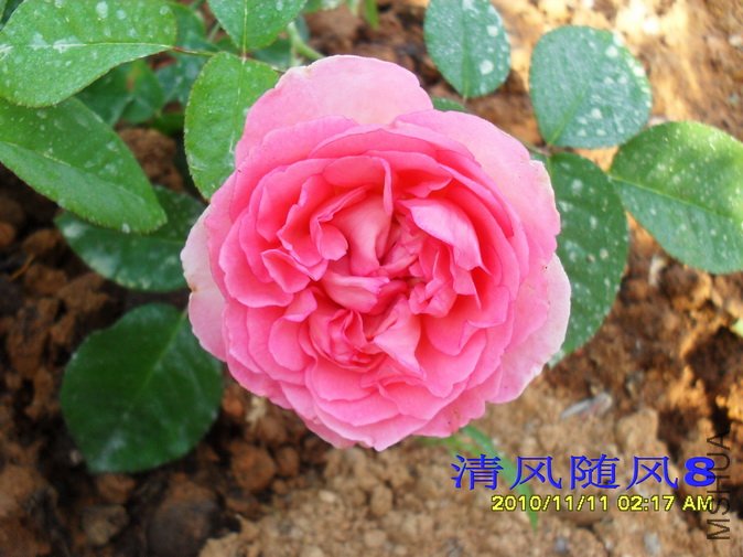 �㲥ʱ��1 (39).jpg