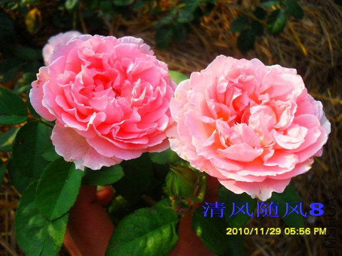 �㲥ʱ��1 (1).jpg