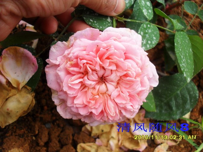 �㲥ʱ��1 (12).jpg