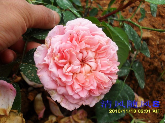 �㲥ʱ��1 (13).jpg