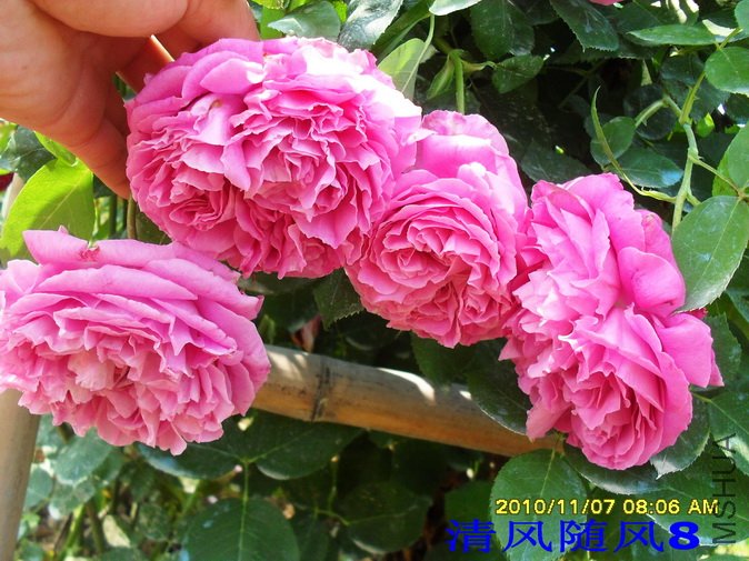 ��̫��ĵ�� (2).jpg