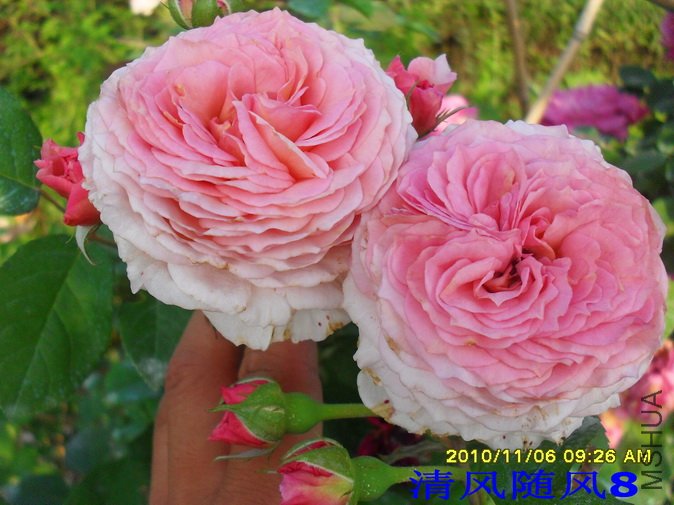 ղķ˹���� (1).jpg