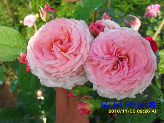 ղķ˹���� (2).jpg