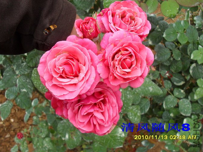 ������ (5).jpg