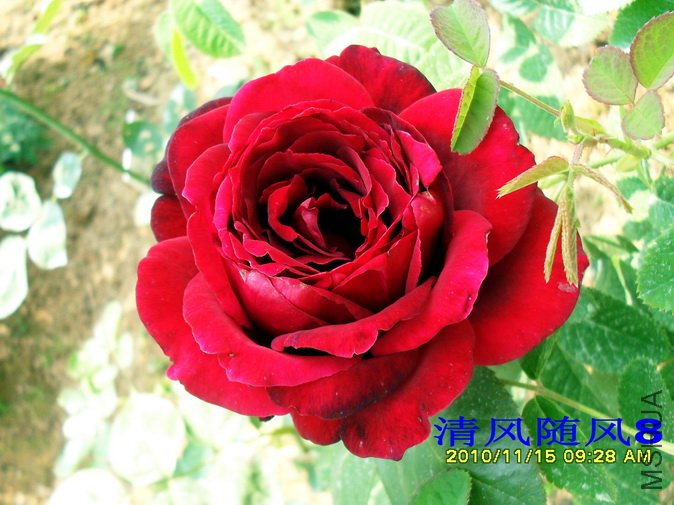 ŵ���� (4).jpg