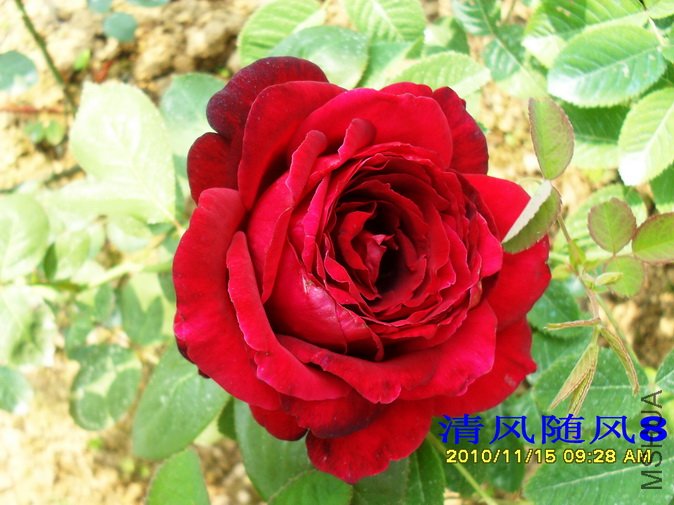 ŵ���� (5).jpg