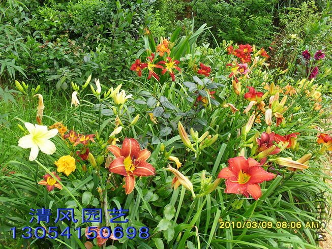 SDC10673.jpg
