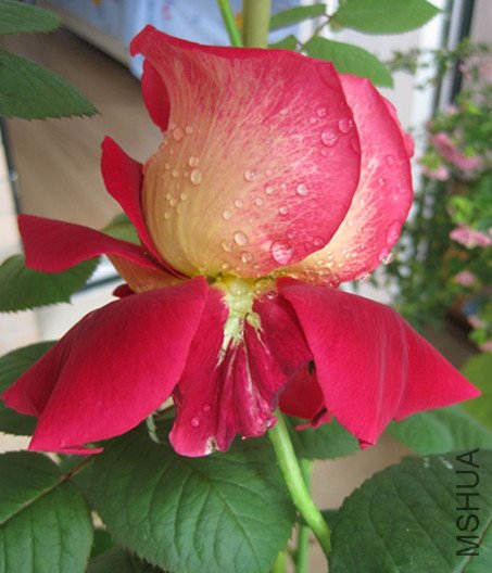 ��Ƭ 211_����.jpg