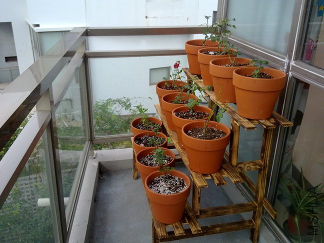 201110032115.jpg