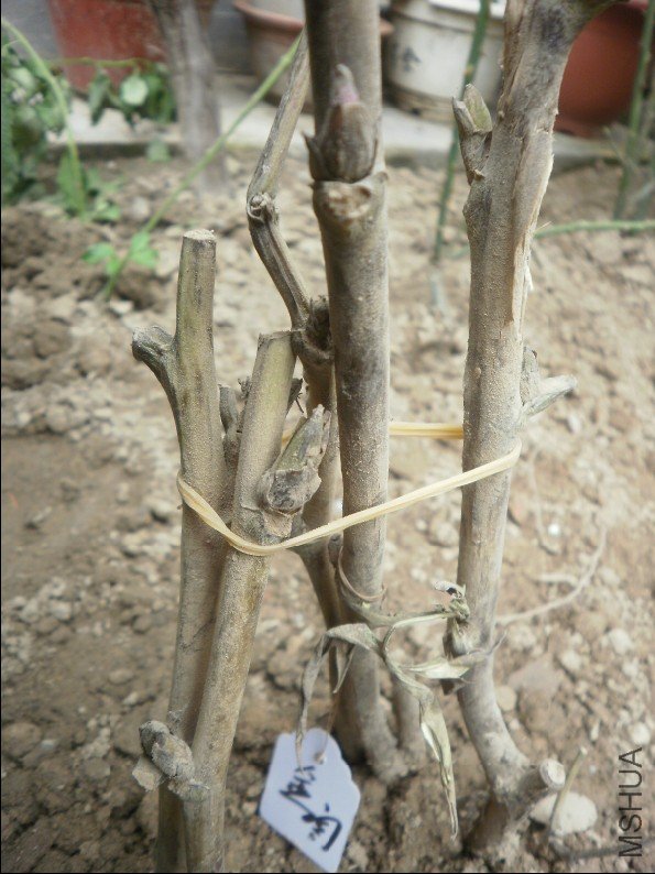 ��� �ٻ�����.jpg