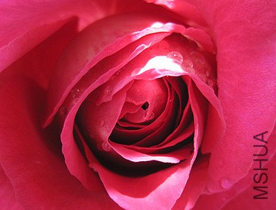 ��Ƭ 601_����.jpg