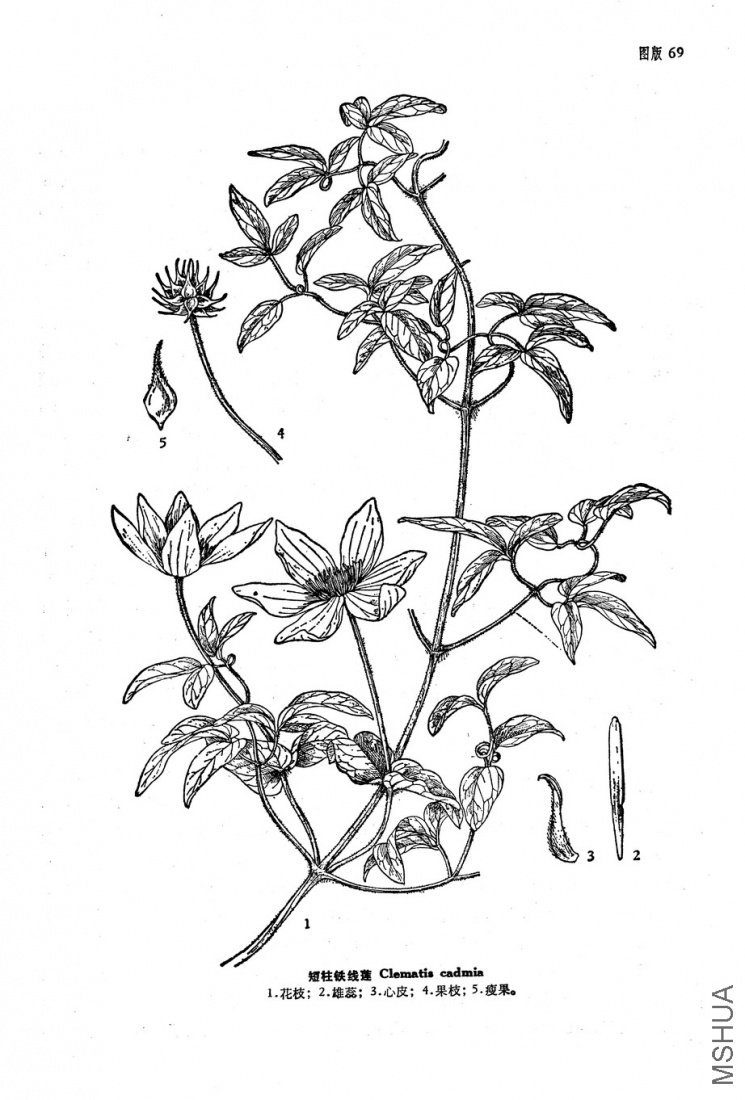 ͼ�� ����������.jpg