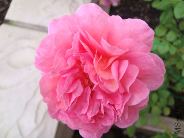 DSC01958.JPG