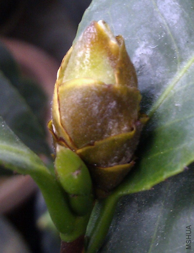 IMAG0298.jpg