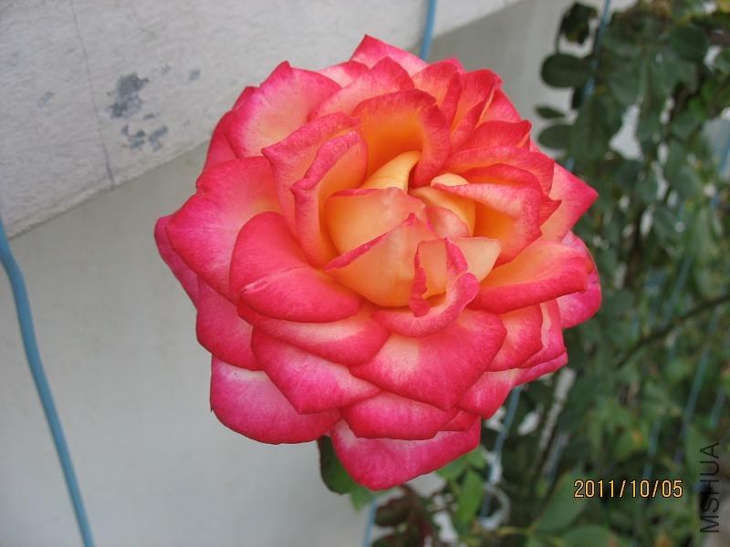 IMG_0157.JPG