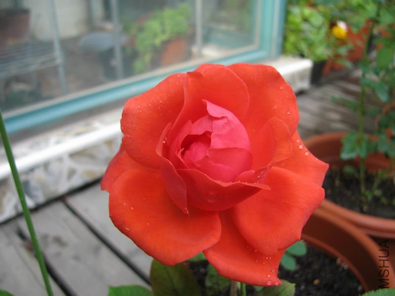 111005�¼�-���2.JPG