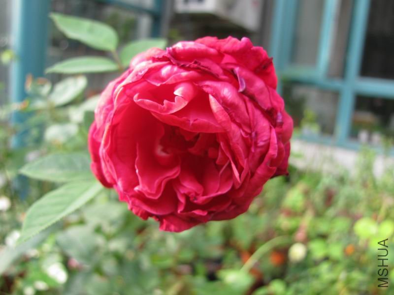 111005�¼�-�Ϻ�.JPG