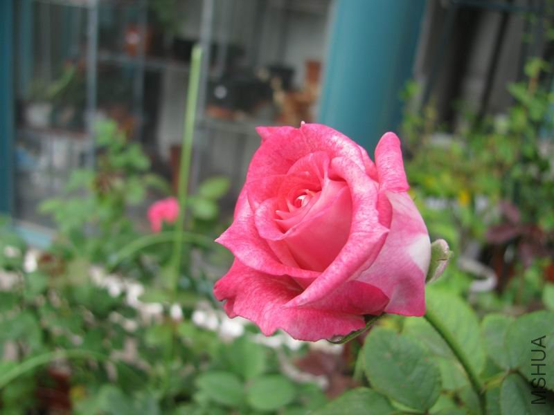 111005�¼�-��ϲ2.JPG