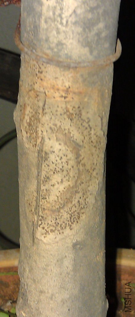 IMAG0128a.jpg