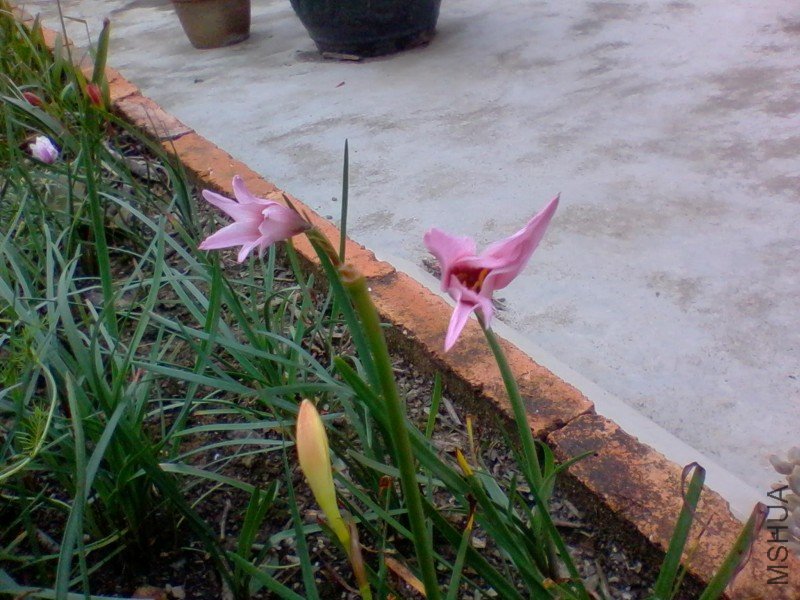 2011-10-04 11.14a.jpg