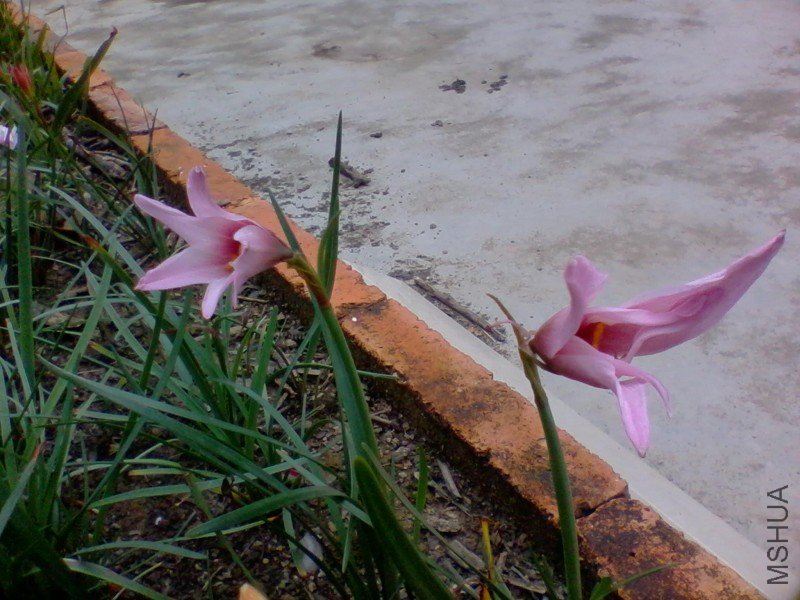 2011-10-04 11.21a.jpg