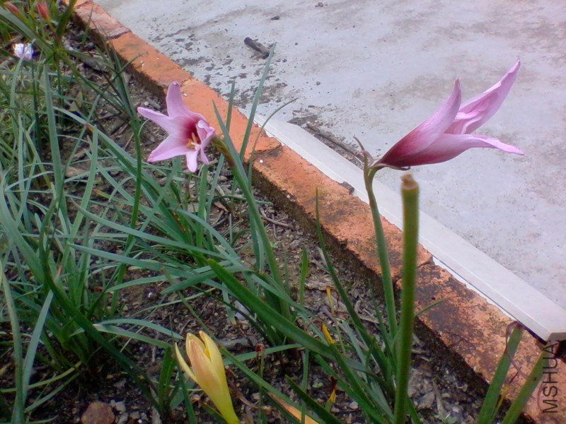 2011-10-04 11.22a.jpg