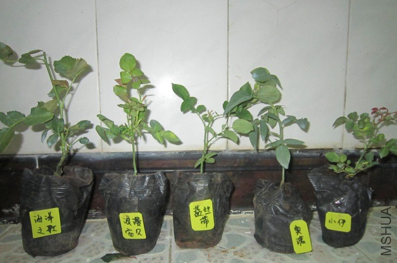K@`UY15QH640V%DXE]VI15G.jpg