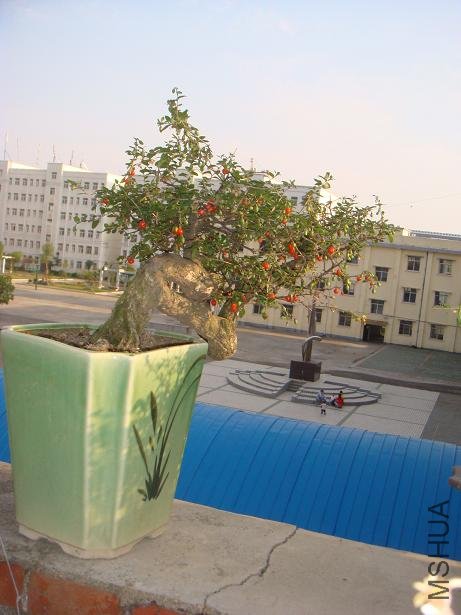 DSC04076.JPG