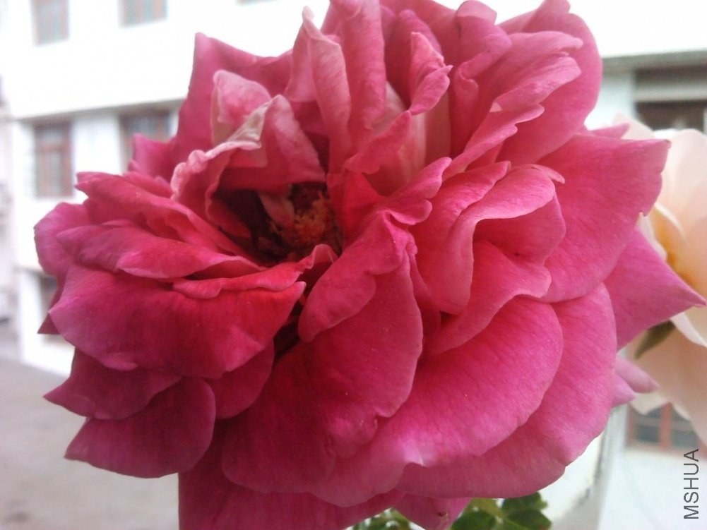 C360_2011-09-29 12-35-47.jpg