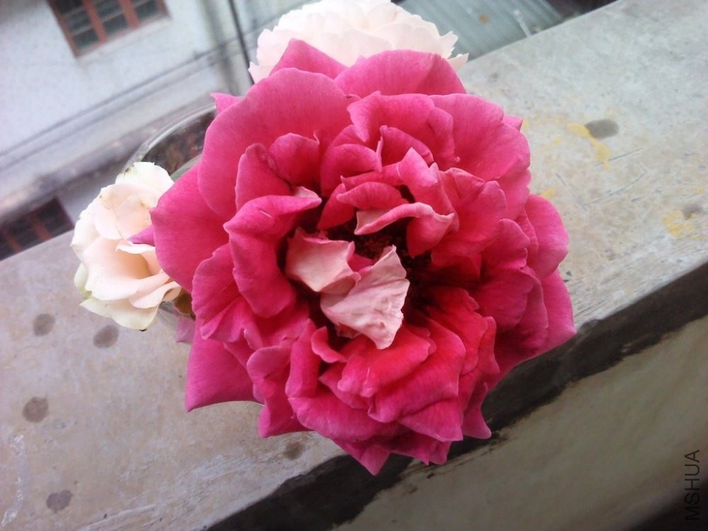 C360_2011-09-29 12-35-26.jpg