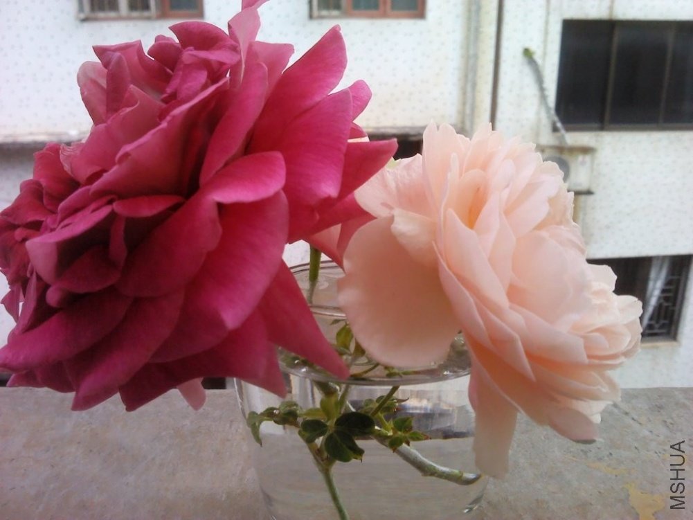 C360_2011-09-29 12-37-53.jpg